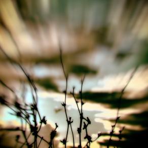 Iniziare a "vedere" la natura 