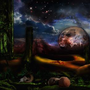 "Illusion, l'amour brutal"