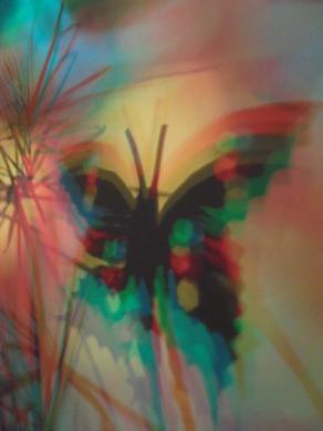 I COLORI DELLA BIODIVERSITÀ