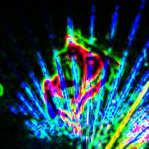 Oh oh oh oh oooh !!!!