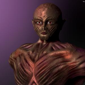 The Bust By Yacine BRINIS 2016 View 06