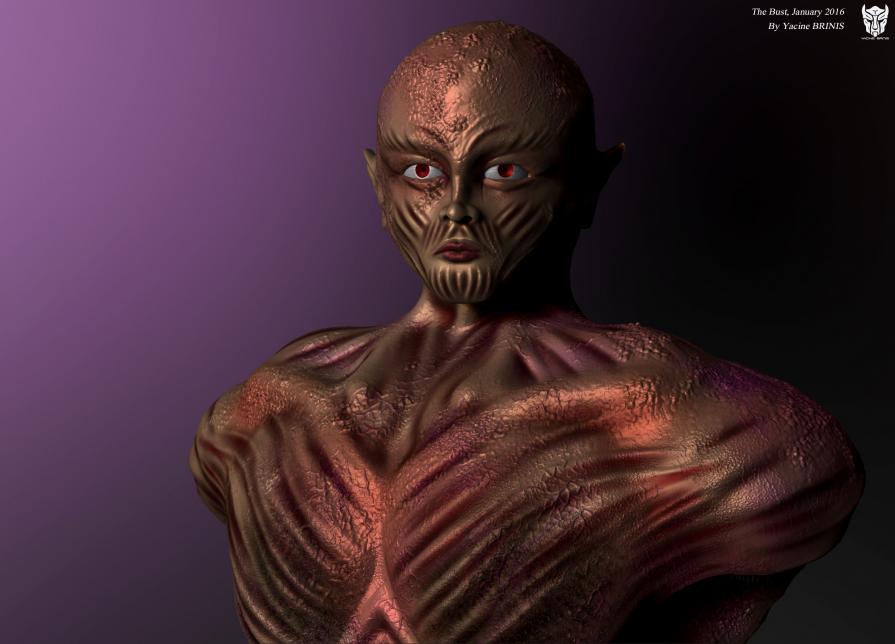 The Bust By Yacine BRINIS 2016 View 06