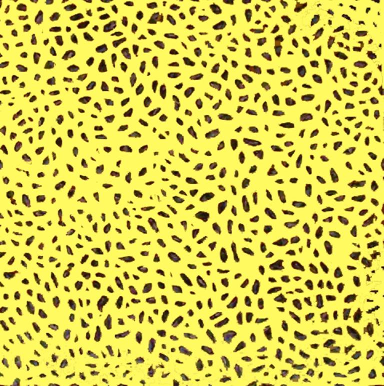 parafrasando la luce "quanti di realtà"