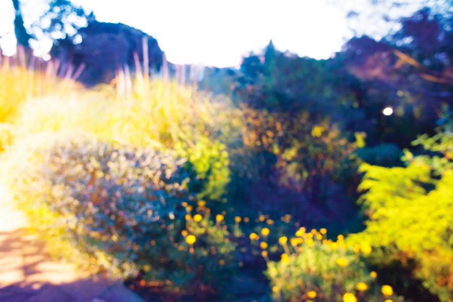 From the series "Des Sons Venus De Nulle Part" From the series "Des Sons Venus De Nulle Part"