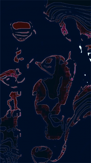 Il Cavalluccio Marino