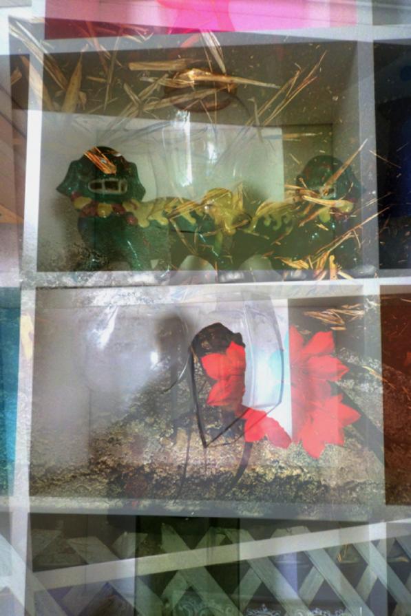 Upright-down lion dogs