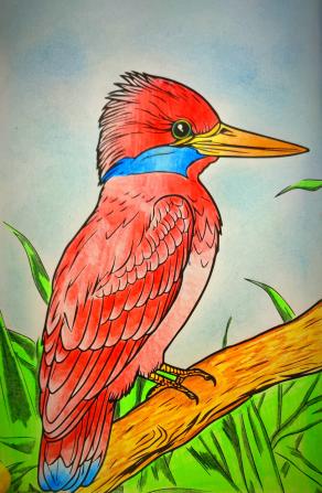 un nido, una piuma, un canto...