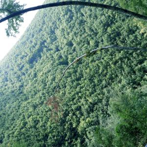  CELESTINO V BETWEEN ART AND EREMITAGE- Edited by Roberto Cumbo and Laura Mocci