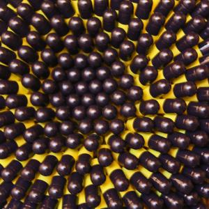 Inhorgenta 2011, 25-28 Febbraio. Inhorgenta 2011, 25-28 Febbraio.