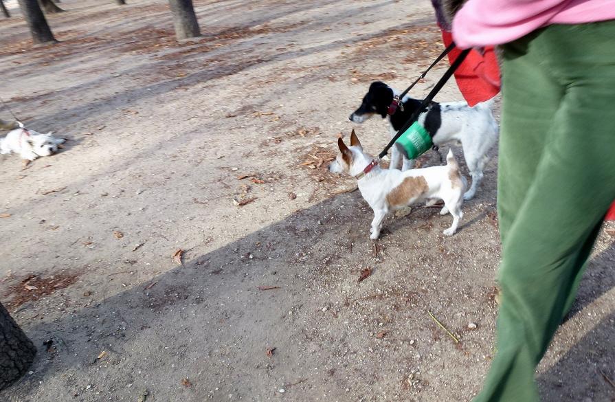 Rencontre au sommet !