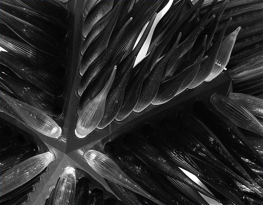 Shefirat haKelim (Rottura Dei Vasi) Shefirat haKelim (Rottura Dei Vasi)