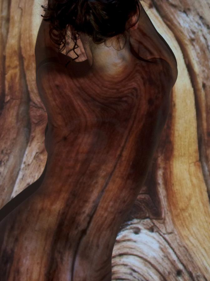 MEAE FORMAE NATURIS MEAE FORMAE NATURIS