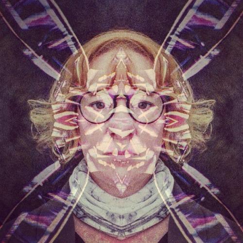 Maxwell Colour Butterfly