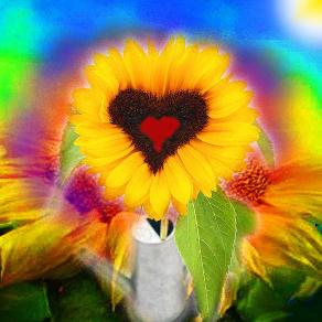 . . . IO IRRADIO GIOIA DIVINA !!! . . . 