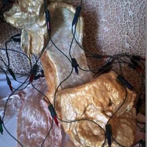 La materia prende forma e teoria del metamorfismo cromatico