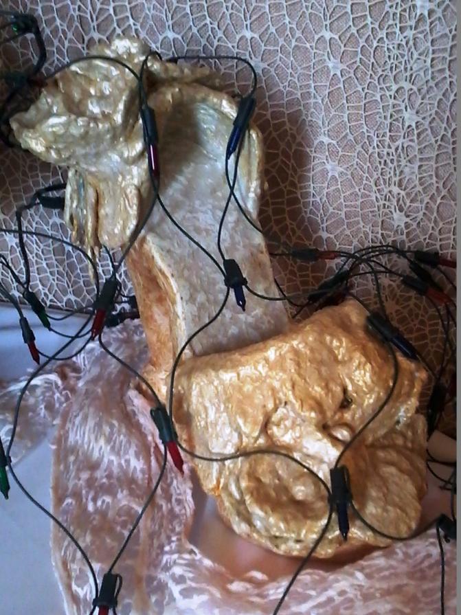 La materia prende forma e teoria del metamorfismo cromatico