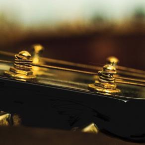 She's my guitar gently.....