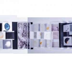 A | Alieni in un giorno - for dummies                                   //graphic novel