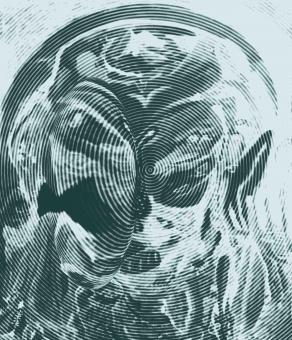  أسماك القرش الجشع - sharks greed - squali avidità