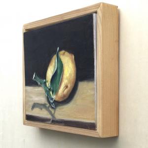 Limone olio su tavola 20 x 15 cm