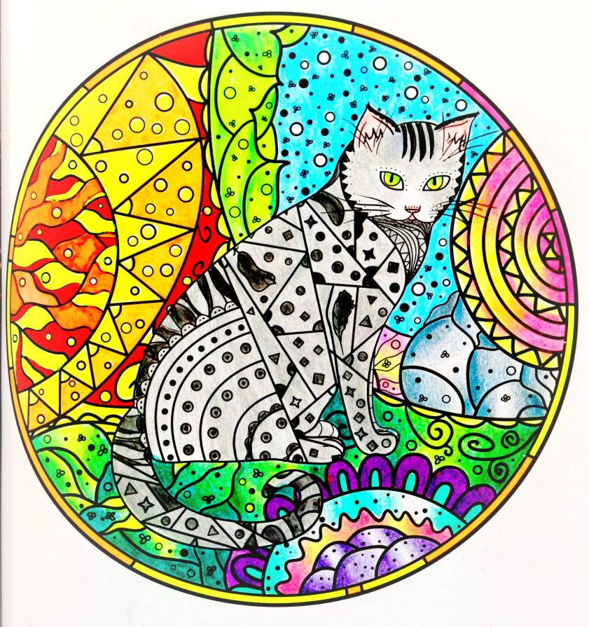 Il felino silenzioso circolare...!!!