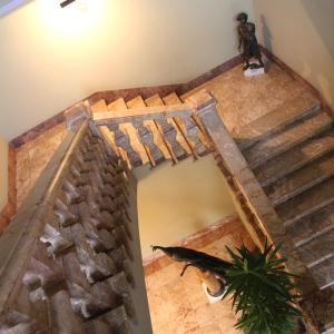 LE FOTO DI ALTRA NATURA IN VILLA fino al 25 ottobre CLUB LA MERIDIANA (MO)