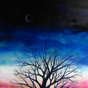 I SAGGI DELLA TERRA I SAGGI DELLA TERRA