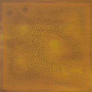 Particelle Elementari Particelle Elementari