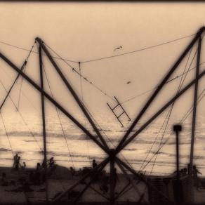 Il ragno - The spider