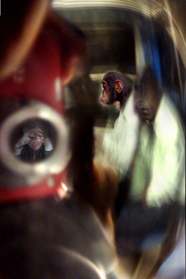 incontri fugaci sulla linea ferroviaria Brescia Parma,( due ir-regolari) incontri fugaci sulla linea ferroviaria Brescia Parma,( due ir-regolari)