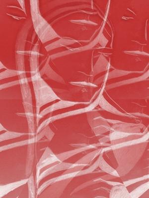 l'isola che non c'è