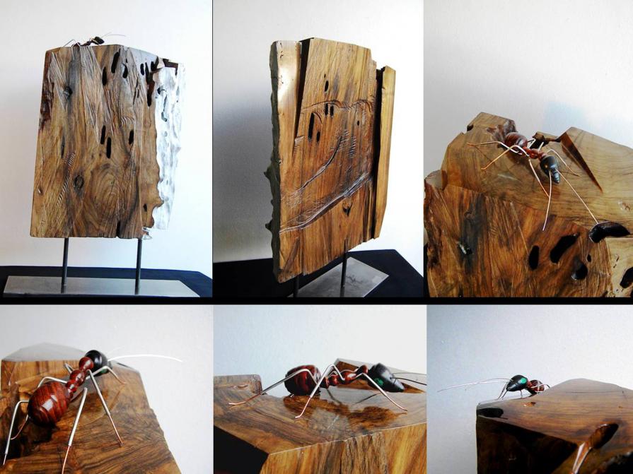 “La casa della formica rufa” “La casa della formica rufa”