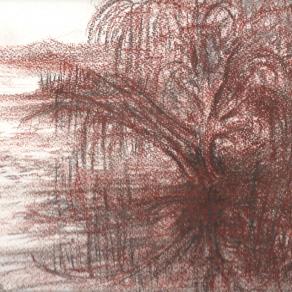 IL MIO LAGO .SCHIZZO-