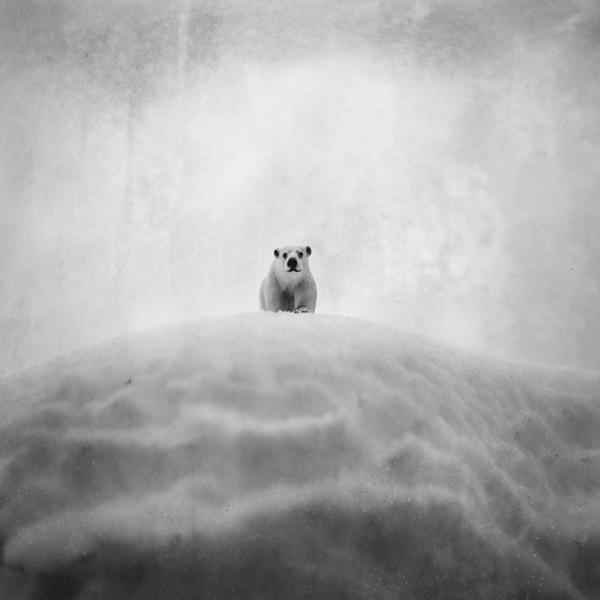 IMAGINARY WORLD IMAGINARY WORLD