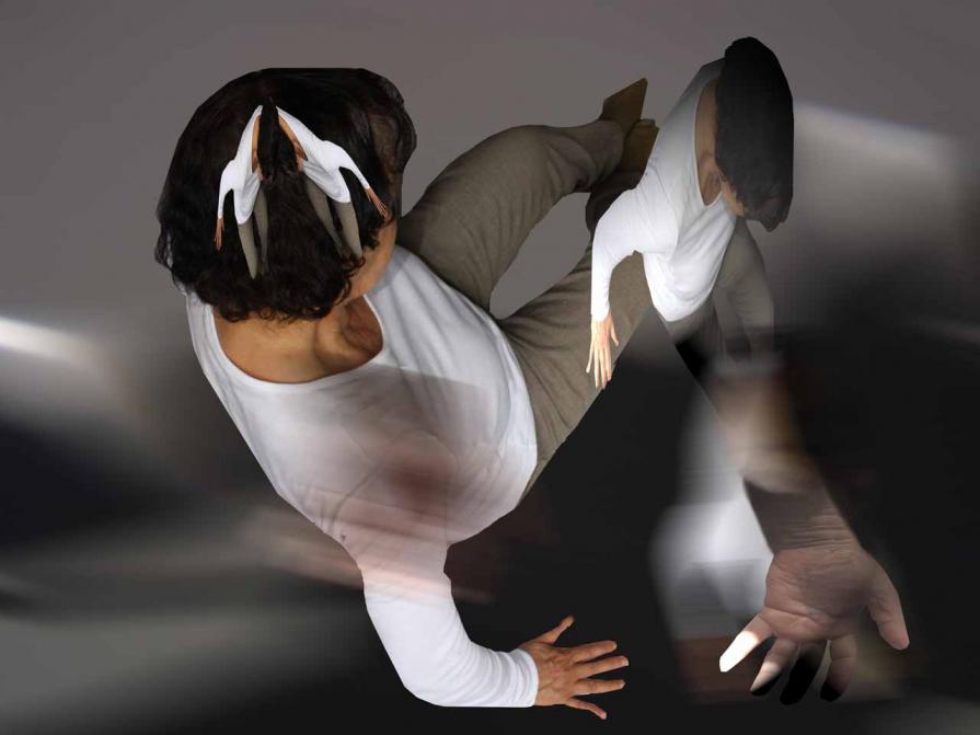 Nil Goos, Nile Goose, Nilgans