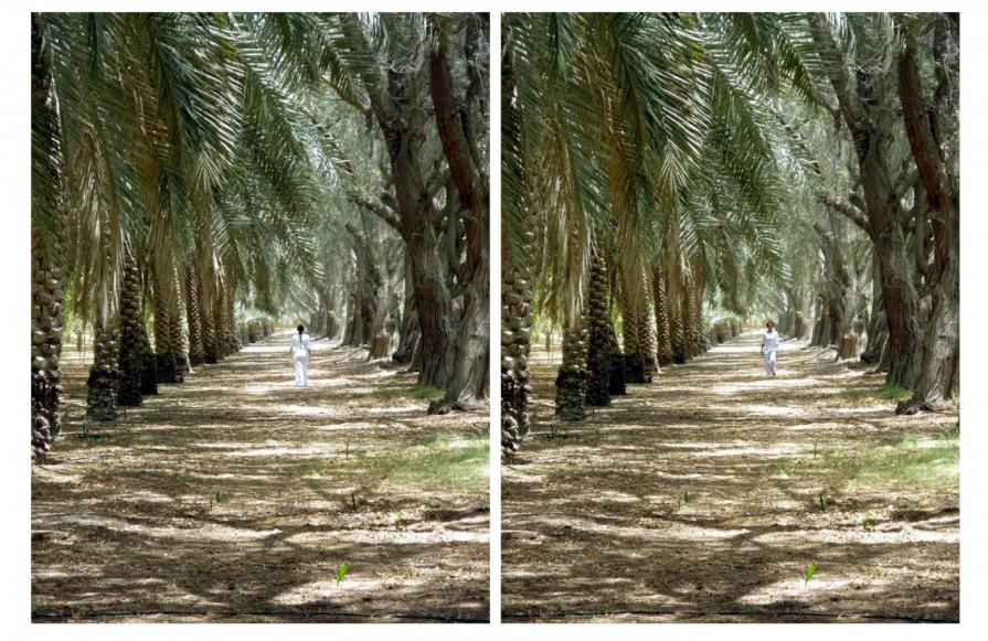 Come with me (from the series On the Road—For Jack Kerouac), Diptych