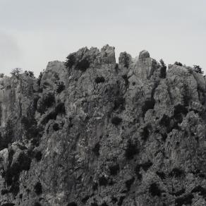 MORE THAN EVER Buffavento 35