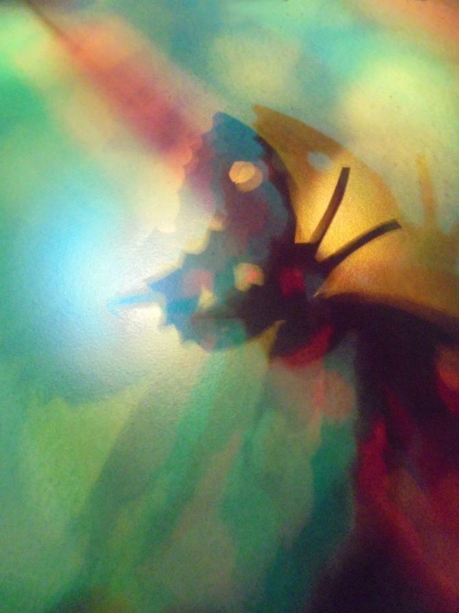 I colori della biodiversità -2017