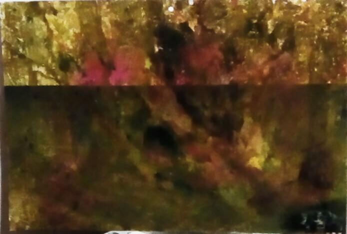 Sevizie nella foresta