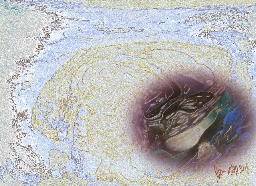 Jerusalem " Jaffa Tor"