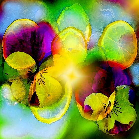 Oggi la luce è una buccia di limone sul vetro dell’aria...!!! Oggi la luce è una buccia di limone sul vetro dell’aria...!!!