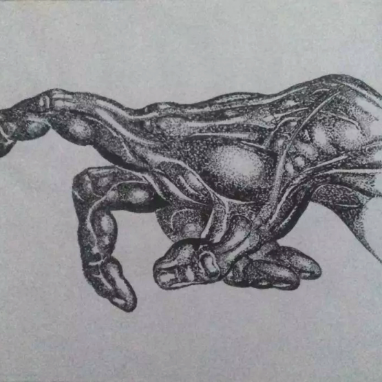 Studio anatomico ( omaggio a B.Hogart)