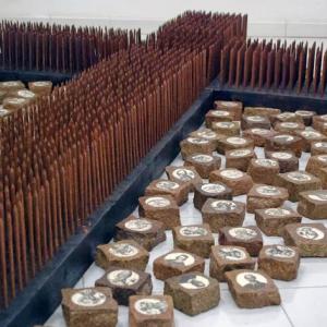 LightRoom: Chi vuol esser lieto, sia: / di doman non c'è certezza. LightRoom: Chi vuol esser lieto, sia: / di doman non c'è certezza.