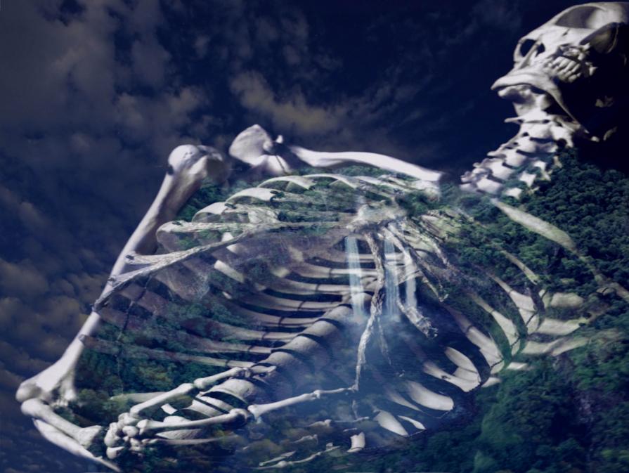 Senza Titolo Senza Titolo