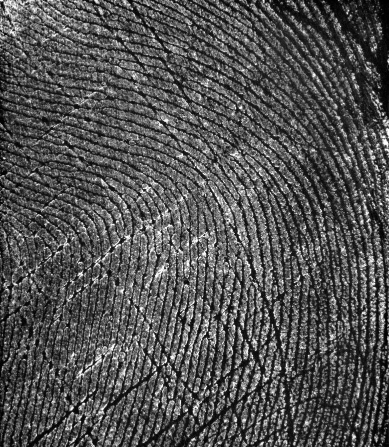 Die ganze Welt und Ihre Ausschnitte_Blatt 2 Die ganze Welt und Ihre Ausschnitte_Blatt 2