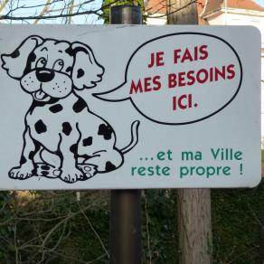 A lire par le chien ou par son maître ?