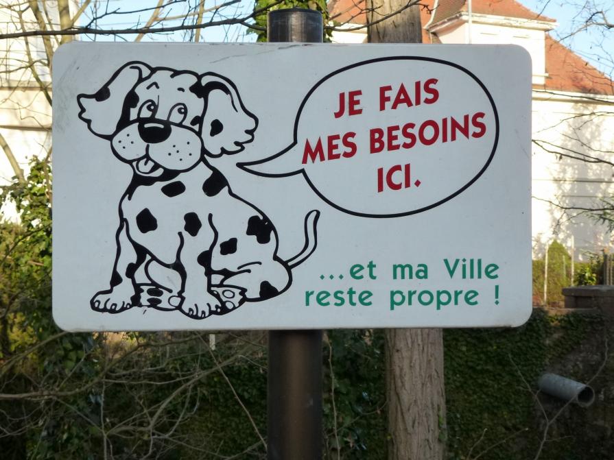 A lire par le chien ou par son maître ?