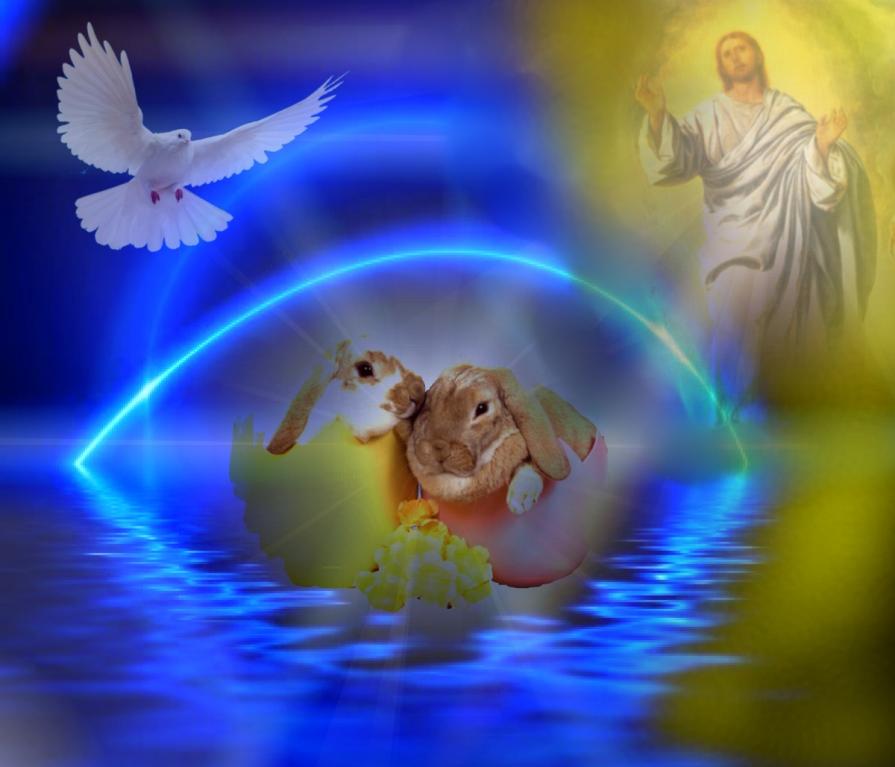 ...PER TE UN UOVO DI CIOCCOLATO ED UNA CAREZZA AL TUO CUORE CON L'AUGURIO DI TRASCORRERE UNA SERENA 