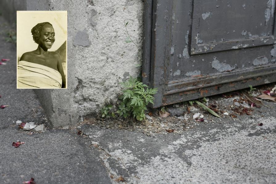 Perla (from the series "7 women")