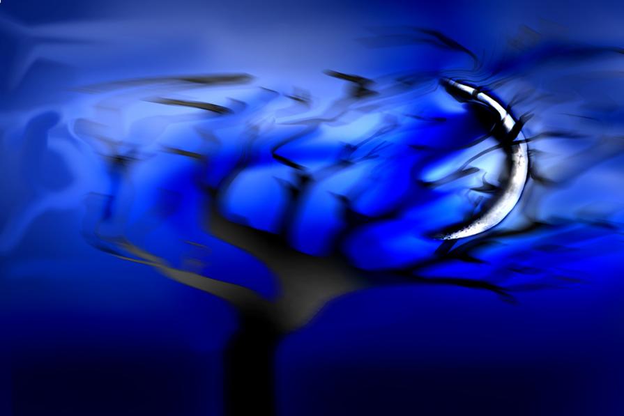 nottata di vento stanotte,la mattina mi ha portato una sorpresa,la luna uncastrata nei rami di una pianta